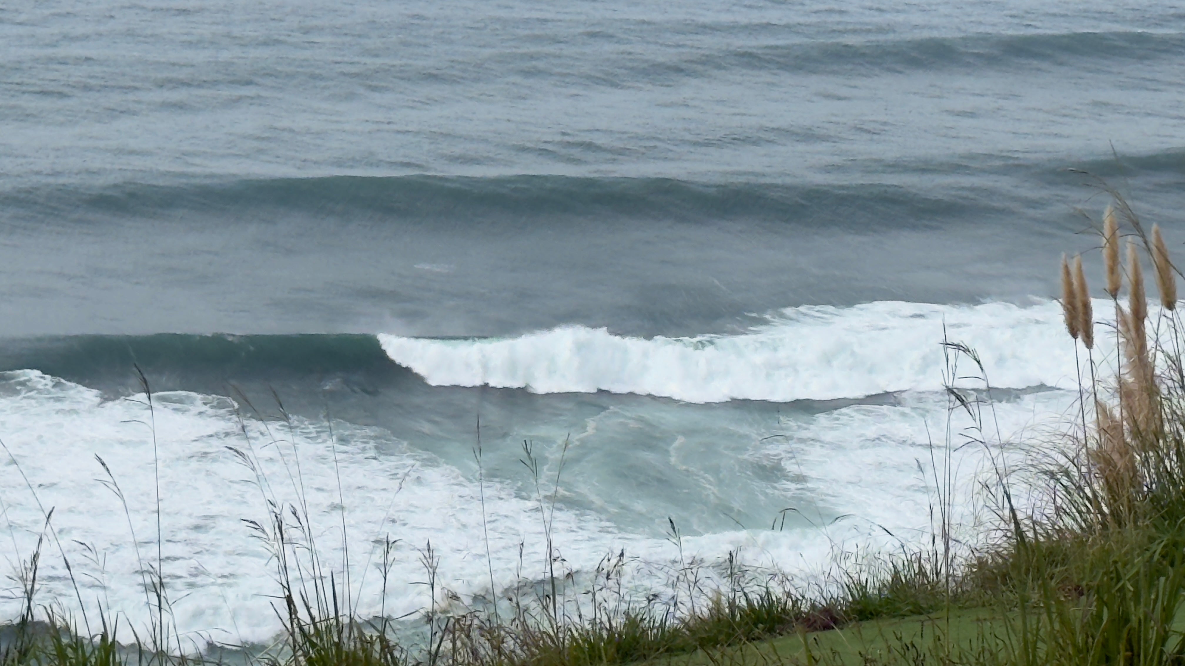 Versteckte Strände & echte Begegnungen – unsere Zeit an der Central Coast 🌊